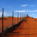 dog-fence2
