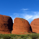 olgas8