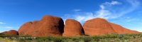 olgas8