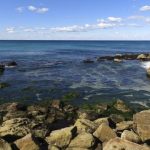 sydney 06