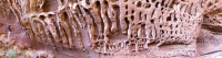honeycomb gorge31