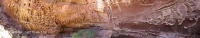honeycomb gorge5-1