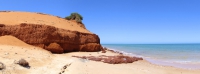 shark bay 22