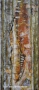 397_150x65cm