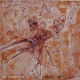 420_30x30cm