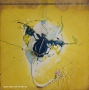 448_100x100cm
